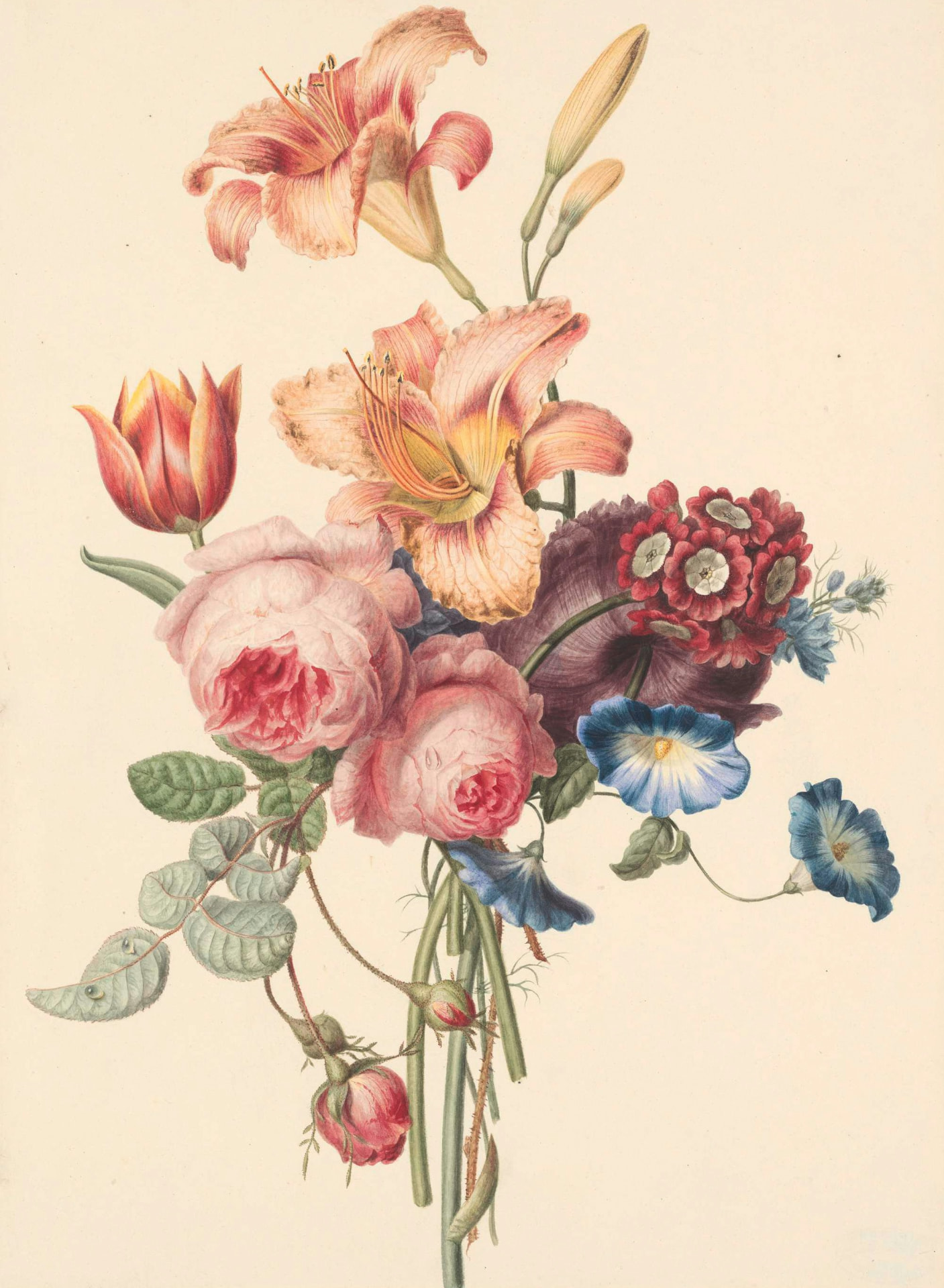 Antique botanical illustration of lilies, roses and morning glory